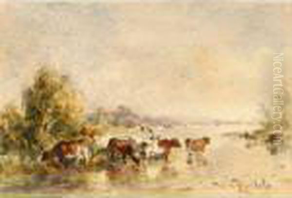 Watering Cows In A Summer Landscape Oil Painting by Willem Roelofs