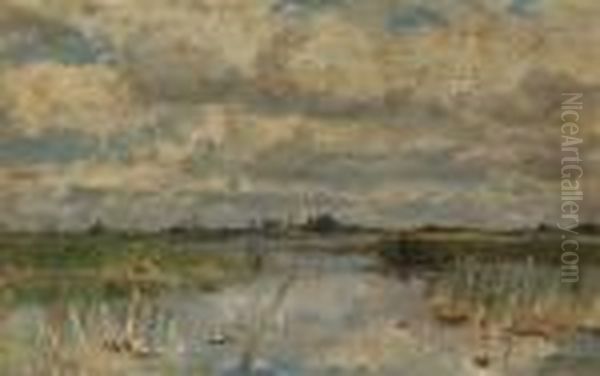 Etang A Noorden Printemps Oil Painting by Willem Roelofs