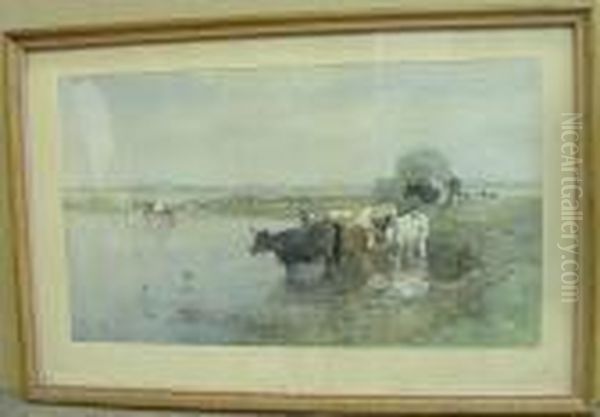 Cows Watering In The Early Morning Oil Painting by Willem Roelofs