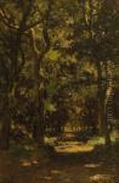 A Wooded Lane, Texel Oil Painting by Willem Roelofs