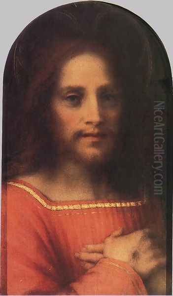 Christ The Redeemer Oil Painting by Andrea Del Sarto