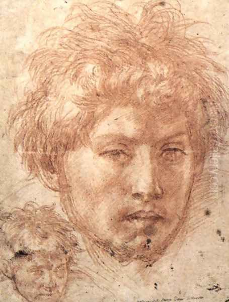 Head Of A Young Man Oil Painting by Andrea Del Sarto