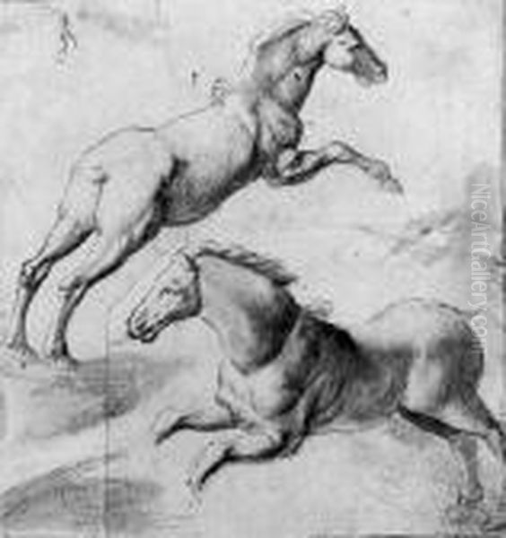 Study Of Two Horses Jumping Oil Painting by Giulio Romano