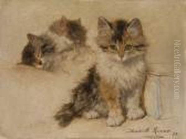 Etude De Chatons Oil Painting by Henriette Ronner-Knip