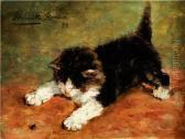 Katzchen Und Fliege Oil Painting by Henriette Ronner-Knip