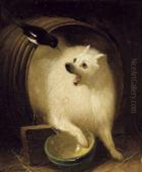 Le Chien Et La Pie Oil Painting by Henriette Ronner-Knip