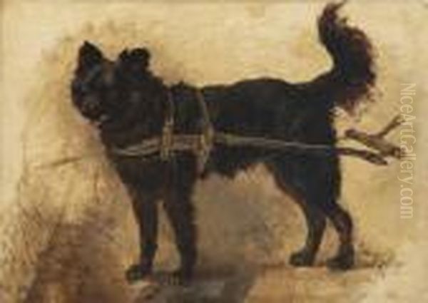 A Dog Cart Drawn By A Black Dutch Decoydog Oil Painting by Henriette Ronner-Knip