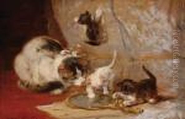 Cat With Three Playing Kittens Oil Painting by Henriette Ronner-Knip