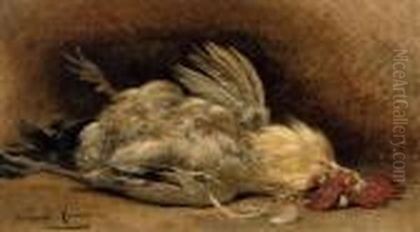 Study Of A Rooster Oil Painting by Henriette Ronner-Knip