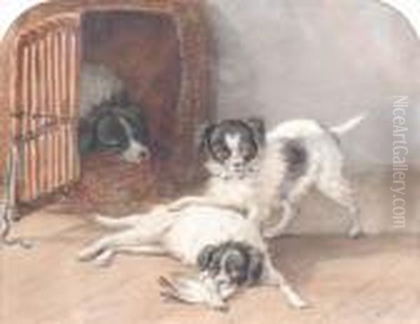 Playful Dogs With A Bird's Wing Oil Painting by Henriette Ronner-Knip