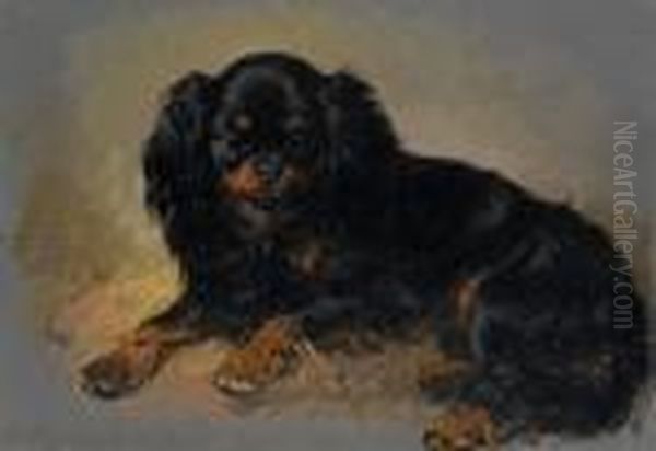 'neptune' - A King Charles Spaniel Oil Painting by Henriette Ronner-Knip