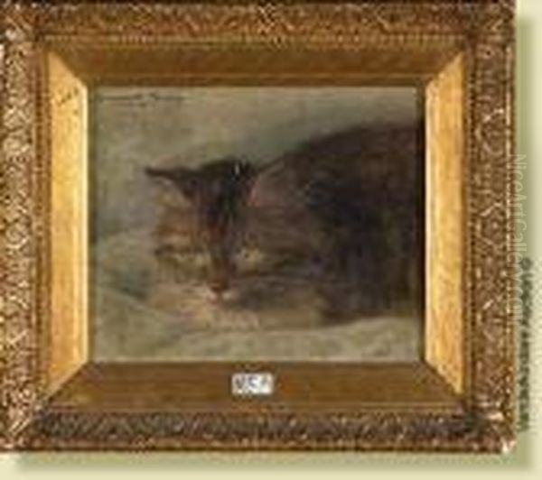 Chat Au Repos Oil Painting by Henriette Ronner-Knip