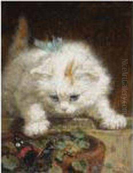 A Kitten Chasing A Butterfly Oil Painting by Henriette Ronner-Knip