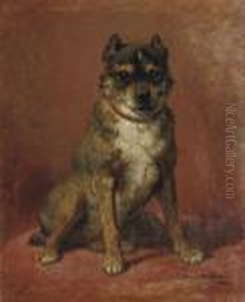 A Feisty Friend Oil Painting by Henriette Ronner-Knip