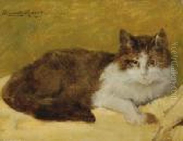 A Reclining Cat Oil Painting by Henriette Ronner-Knip