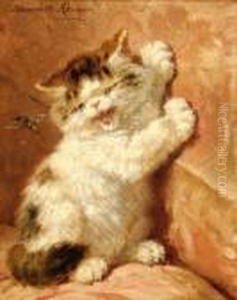 A Kitten With A Wasp Oil Painting by Henriette Ronner-Knip