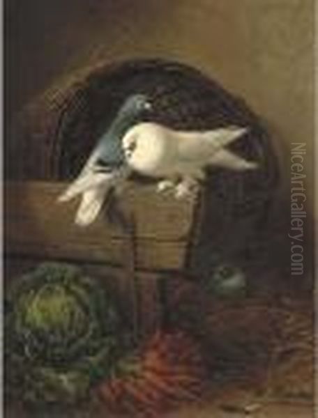 Duiven In Een Stalhoek: Pigeons In A Barn Oil Painting by Henriette Ronner-Knip