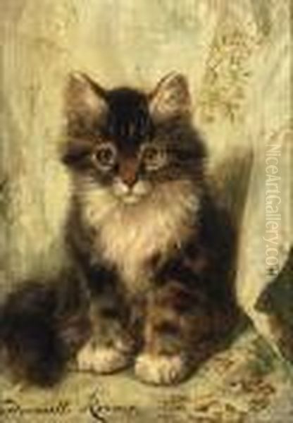 Musing Kitten Oil Painting by Henriette Ronner-Knip