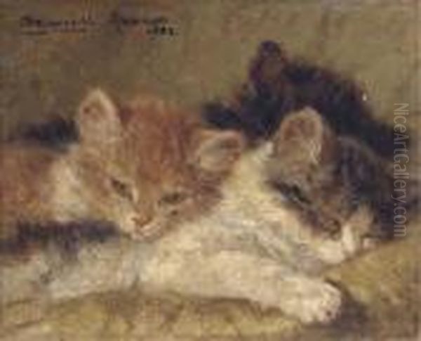 The Sleeping Kittens Oil Painting by Henriette Ronner-Knip