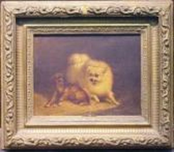 Playful Pets Oil Painting by Henriette Ronner-Knip