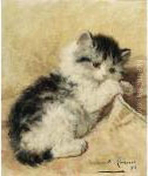 A Playful Kitten Oil Painting by Henriette Ronner-Knip