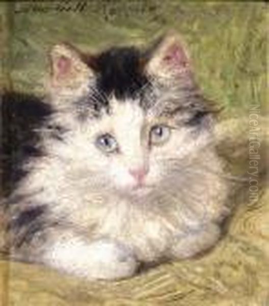 A Curious Kitten Oil Painting by Henriette Ronner-Knip