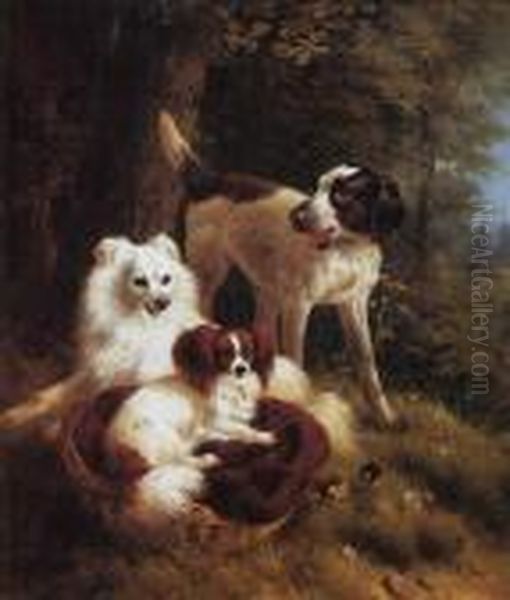 Two Dogs And A Hound In A Landscape Oil Painting by Henriette Ronner-Knip