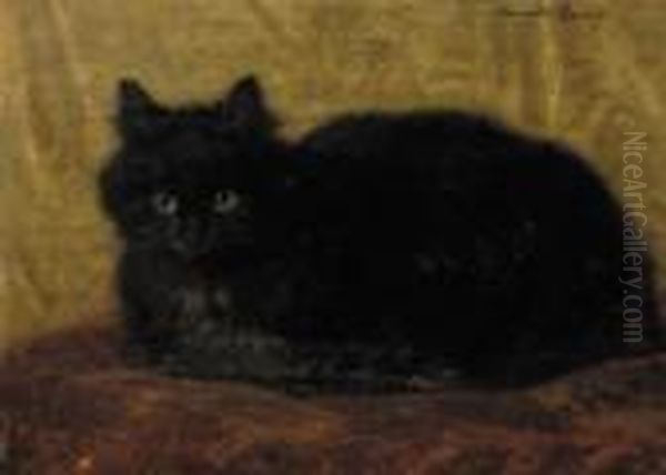 A Black Cat Oil Painting by Henriette Ronner-Knip