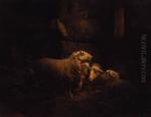 Sheep In A Stable Oil Painting by Henriette Ronner-Knip