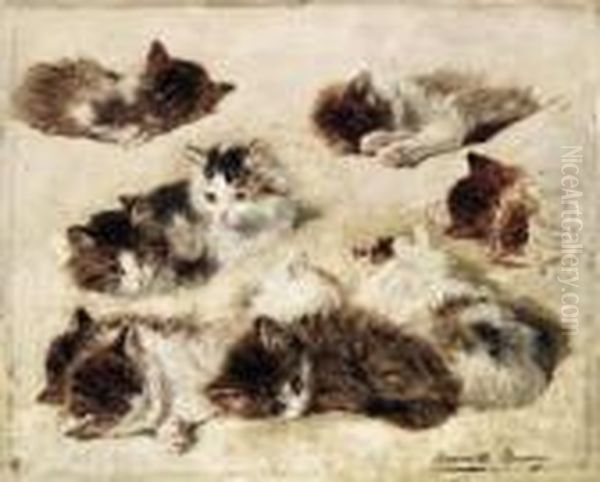 Study Of Kittens Oil Painting by Henriette Ronner-Knip