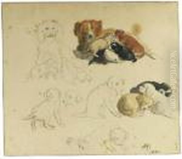 Studies Of Puppies With A Dog Oil Painting by Henriette Ronner-Knip