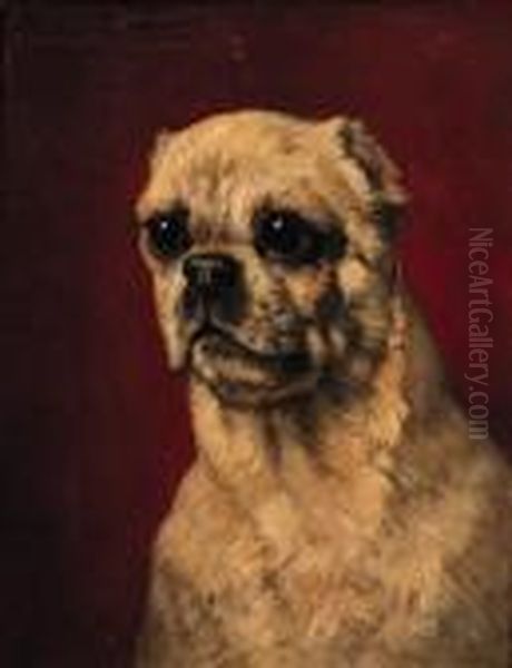 Portrait Of A Pug-dog Oil Painting by Henriette Ronner-Knip