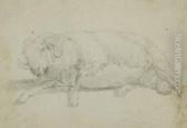 Roos Sheep Drawing Oil Painting by Johan Heinrich Roos