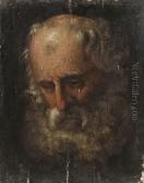 Head Study Of A Bearded Man Oil Painting by Salvator Rosa