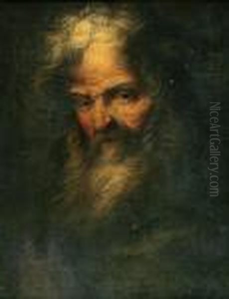 A Head Of A Bearded Prophet Oil Painting by Salvator Rosa