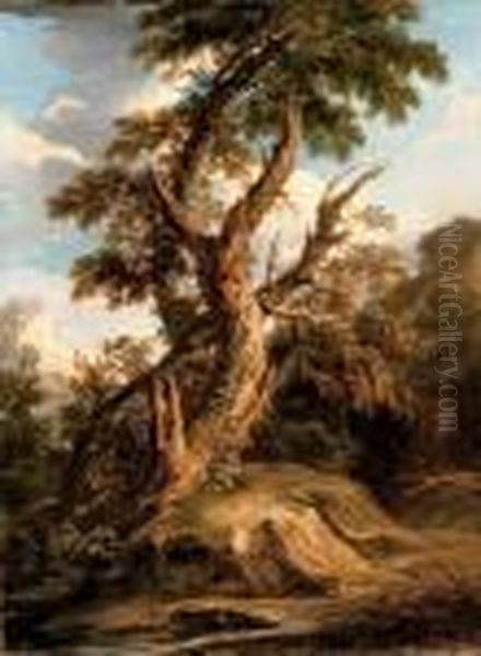 A Tree On A Bank In A Riverbed Oil Painting by Salvator Rosa