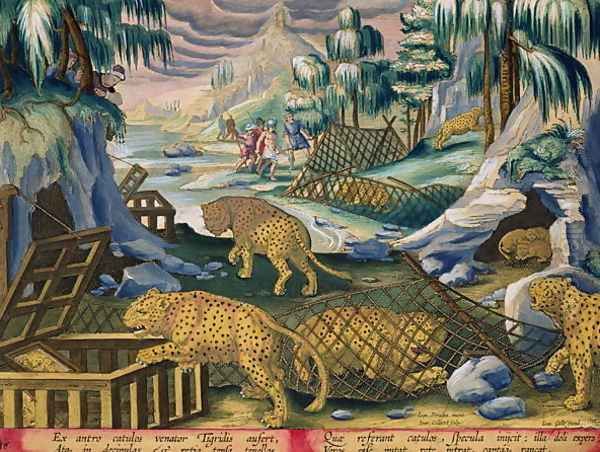 Capturing Leopards with the Help of Nets and Cages Baited with Mirrors, plate 15 from Venationes Ferarum, Avium, Piscium Of Hunting Wild Beasts, Birds, Fish engraved by Jan Collaert 1566-1628 published by Phillipus Gallaeus of Amsterdam Oil Painting by Giovanni Stradano