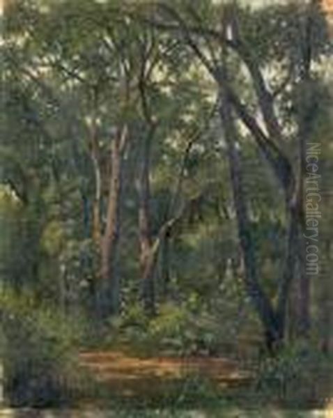 Le Sous-bois Oil Painting by Federico Rossano