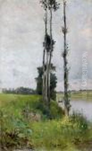 Les Arbres Au Bord De L'eau Oil Painting by Federico Rossano