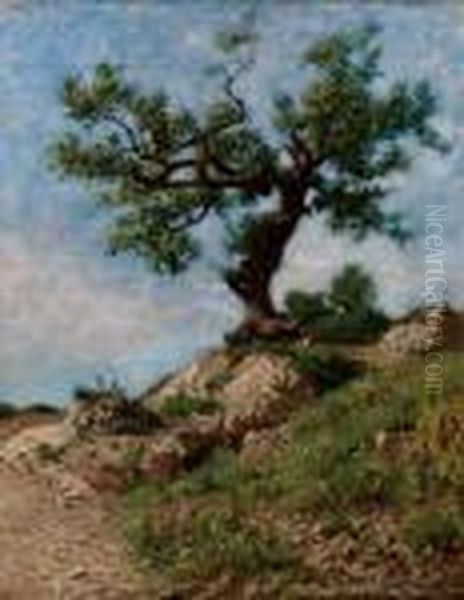 Albero Oil Painting by Federico Rossano