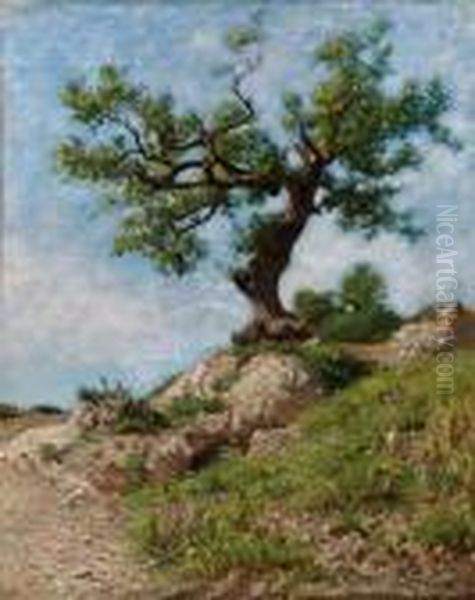 Albero Oil Painting by Federico Rossano