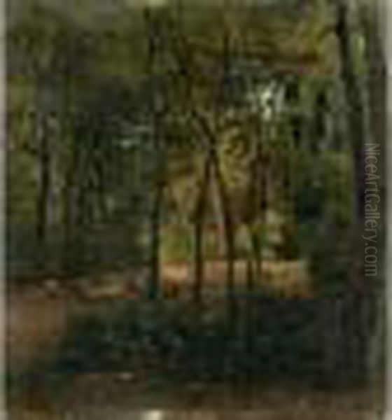 Paysage Au Sous-bois Oil Painting by Federico Rossano