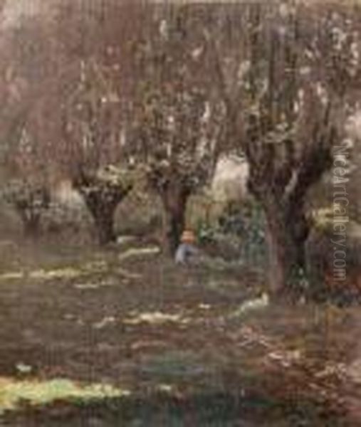 Paesaggio Oil Painting by Federico Rossano