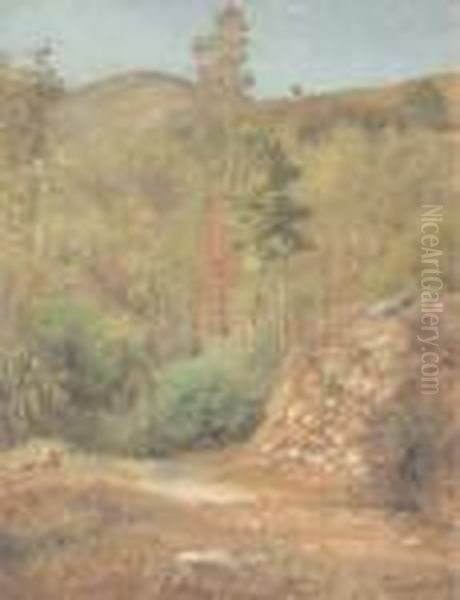 Paesaggio Campestre Oil Painting by Federico Rossano