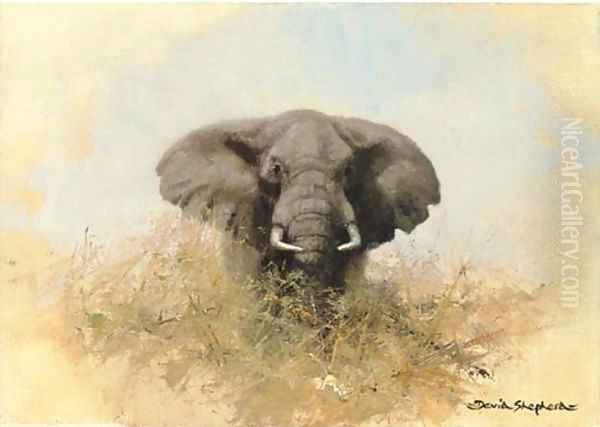 Elephant in the bush Oil Painting by Thomas Hosmer Shepherd