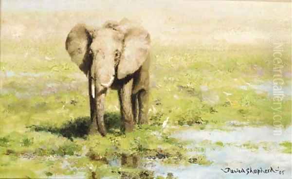 An Elephant at a water hole Oil Painting by Thomas Hosmer Shepherd