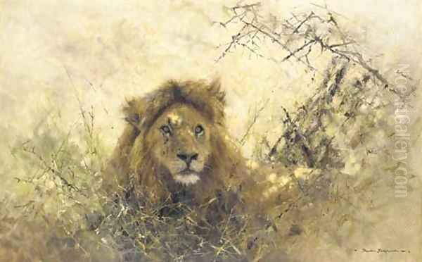 Old Chap - portrait of a lion Oil Painting by Thomas Hosmer Shepherd