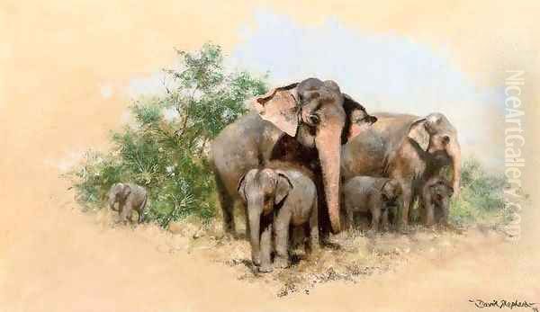 A family of elephants Oil Painting by Thomas Hosmer Shepherd