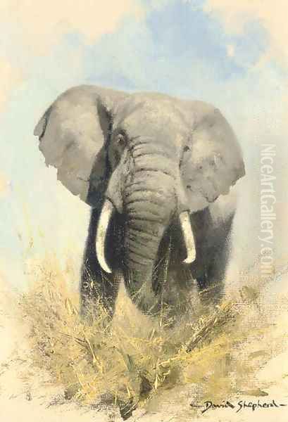 Charging elephant Oil Painting by Thomas Hosmer Shepherd