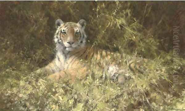 Tiger haven Oil Painting by Thomas Hosmer Shepherd